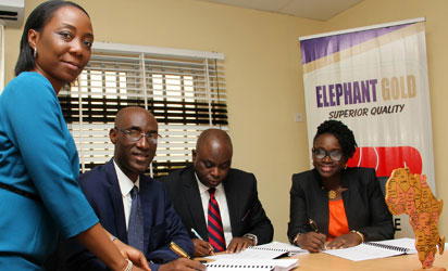 Elephant Group partners AfricInvest for global rice production