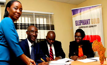 Elephant Group partners AfricInvest for global rice production