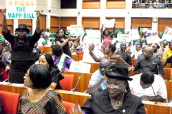 Gender & domestic violence: Agitation heightens for passage of VAPP Bill