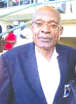 Stop vilifying Ezenwa for Cameroon draw, Okala advises fans