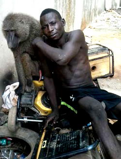 Drama as bandits use Baboon to rob victim of N.23m