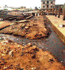 Lagos gives 2 weeks ultimatum to operators of illegal abattoirs