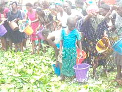 Mysterious deaths in Ondo: The god is not to blame