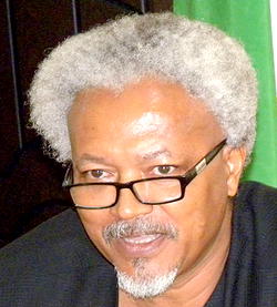 NITDA commits to 2014 Universal Village report implementation