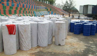 ‘Rojenny Stadium N100m Tartar tracks ready soon for producing world champions’