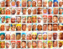US has shared needed intelligence with Nigeria on finding Chibok girls – Envoy