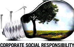 CSR as IDL’s impetus for business growth