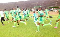 NFF denies abandoning Dream team