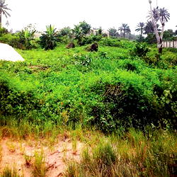 UNIPORT host communities land dispute claims 2