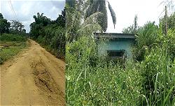 A MISSING LINK ROAD: 11 villages abandoned by gov, reps, minister