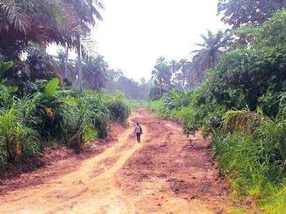 Anibeze, endangered Bayelsa community