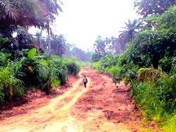 Anibeze, endangered Bayelsa community