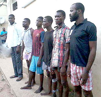 We rob people who patronise prostitutes in brothels — suspects