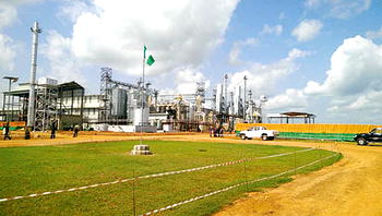 Olam promises to bridge local rice production