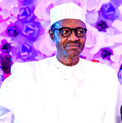 Nigerians expect too much from Buhari —DFID
