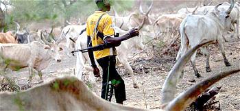 How herdsman raped 14-year old girl in Ebonyi