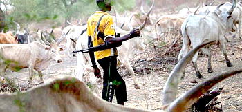 Media narratives and the Fulbe nomad (2)