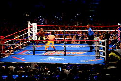 Mayweather vs Pacquiao: Reactions to ‘Fight of the Century’