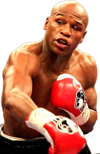 Mayweather:  I was called  a wingless  chicken
