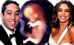 ‘Frozen embryo’ battle grips America