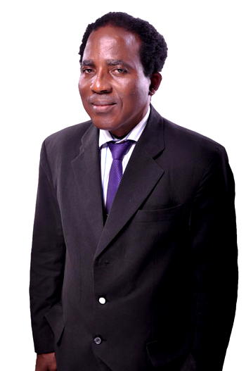 Industrialisation  is solution to mass unemployment (2)  — Prof. Ogbimi