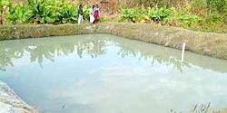 Gunmen kill father, son