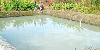Gunmen kill father, son