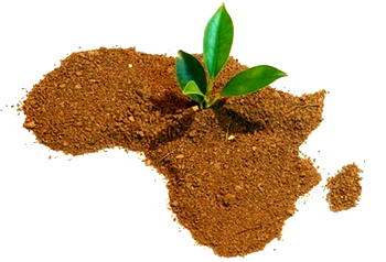 Why start-up bill holds future for Nigeria’s robust tech ecosystem