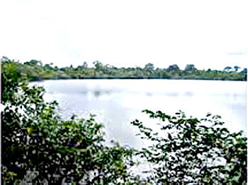 Bayelsa’s strange  500-year-old fishing lake
