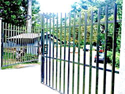 Gov Ayade disbands C-River Anti-Deforestation task force