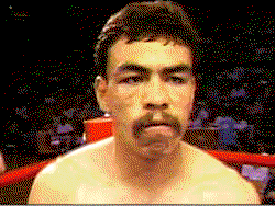 Breaking news: Former world champion boxer Estrada stabbed to death in Mexico
