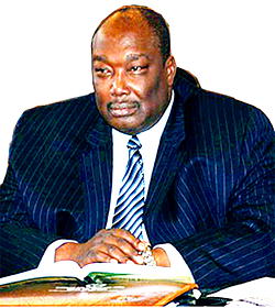 2015 general elections and survival of democracy in Nigeria