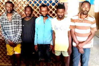 Herbalist:  I sent kidnappers after rich clients