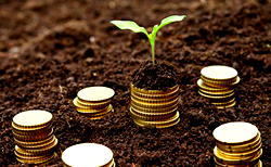 Agric Ministry boosts Edo farmers with&nbsp; 28,200 quality seeds, assorted equipment, chemicals