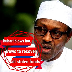 How far can Buhari go,  managing a tough economy?