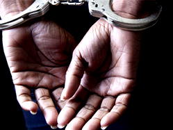 Police arrest 31 robbery suspects in Lagos