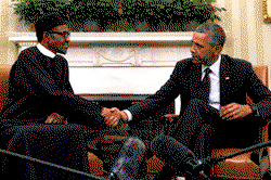 US renews collaboration with Nigeria, neighbours against Boko Haram