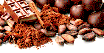 Tapping into $200bn cocoa products market