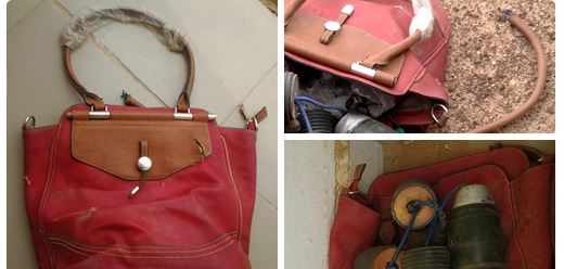 Woman who spent $3.4m on handbags nabbed