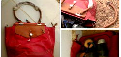 Woman who spent $3.4m on handbags nabbed