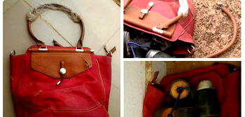 Woman who spent $3.4m on handbags nabbed
