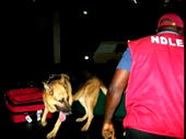 NDLEA charges 2 Brazilians over cocaine importation