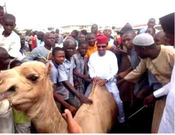 Eld-el-Fitri: Senator Shehu Sani, distributes N15 million camels, foodstuff to constituents