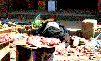 Female suicide bomber detonates bomb in Borno market