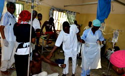 Boko Haram massacres over 148 in Borno homes, mosques