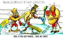 Consolidating a steady pace of progress