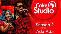 Coca-Cola products safe for human consumption – FG