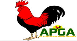 50% of Abia revenue flows into private pockets – APGA Chieftain