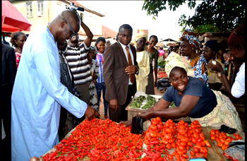 Association wants FG to translate instructions on pesticides to Hausa language