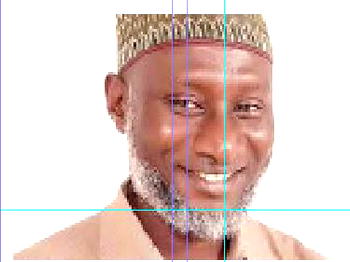 Why I want to be ANA’s President — Dzukogi